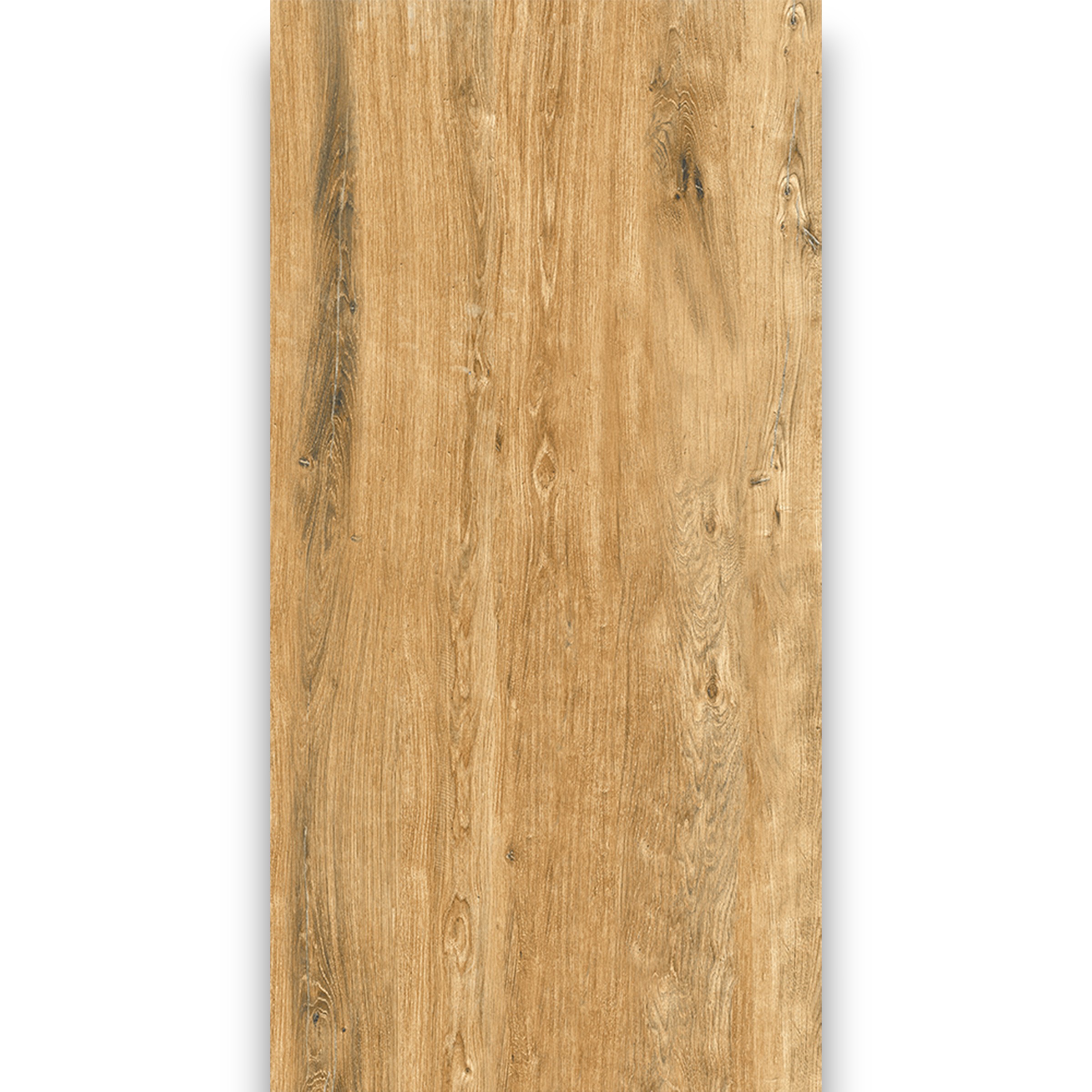 SOFTWOOD OLIVE